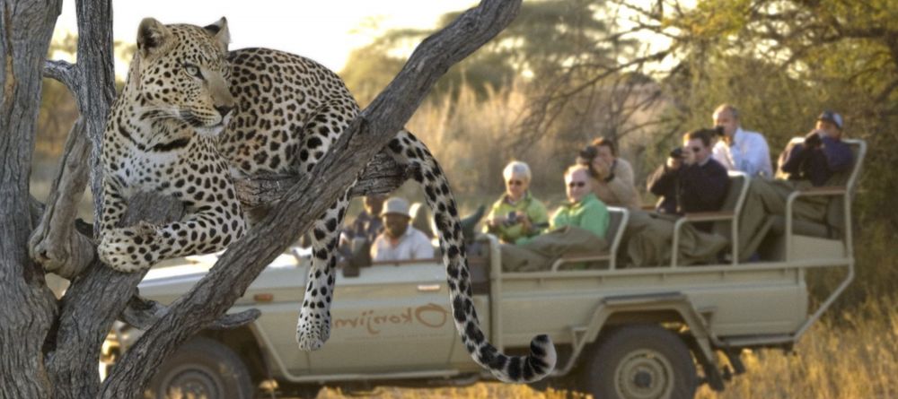 Okonjima Luxury Bush Lodge, Okonjima, Namibia - Image 12
