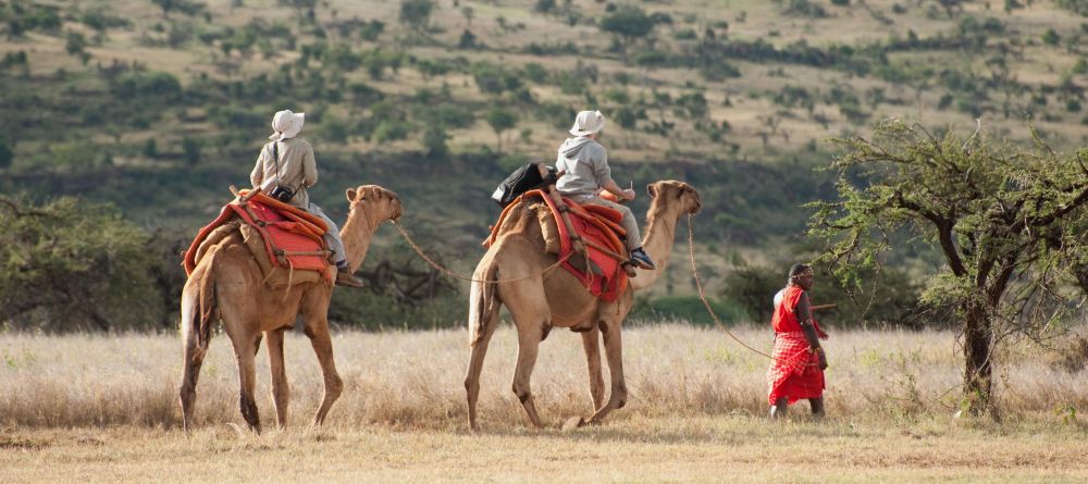 Camel-back trekking at Lewa Wilderness Trails, Lewa Conservancy, Kenya - Image 11