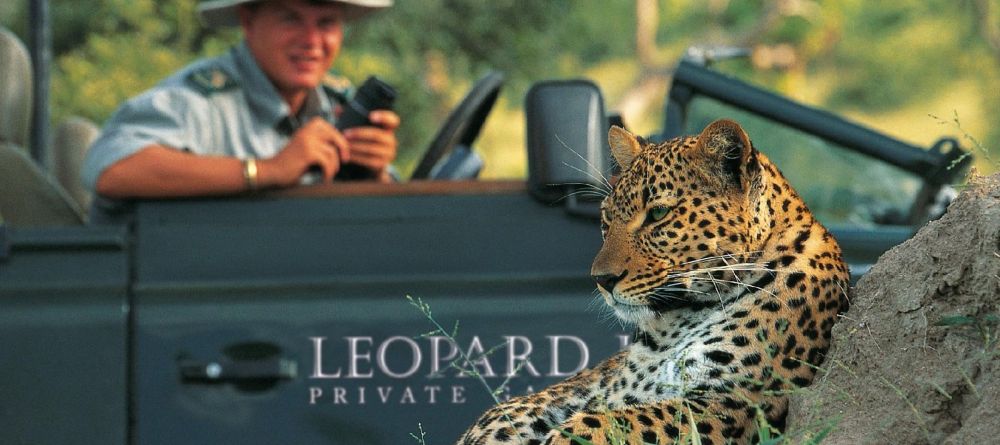 A close-up encounter with a leopard during a game drive at Leopard Hills Safari Lodge, Sabi Sands Game Reserve, South Africa - Image 9