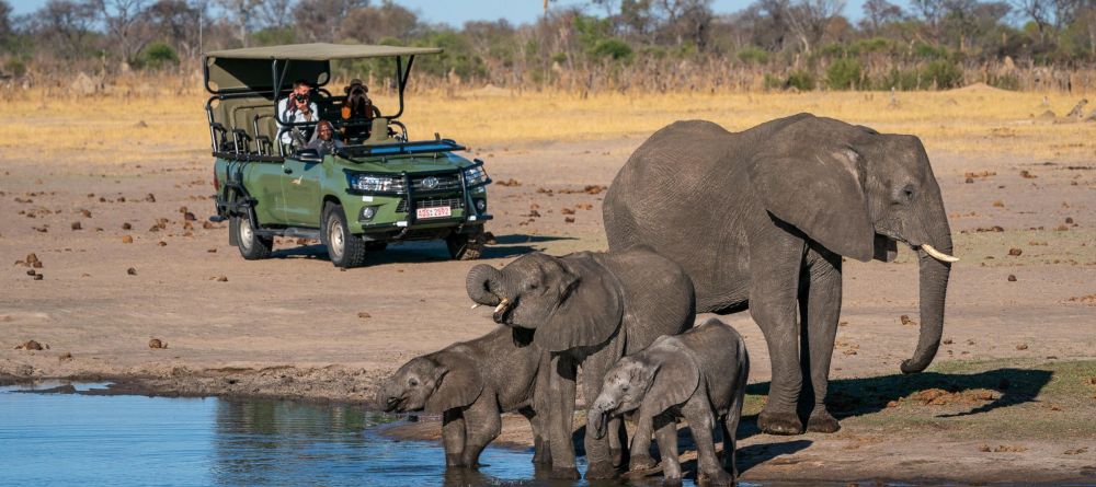 Linkwasha, Hwange National Park, Zimbabwe - Image 10