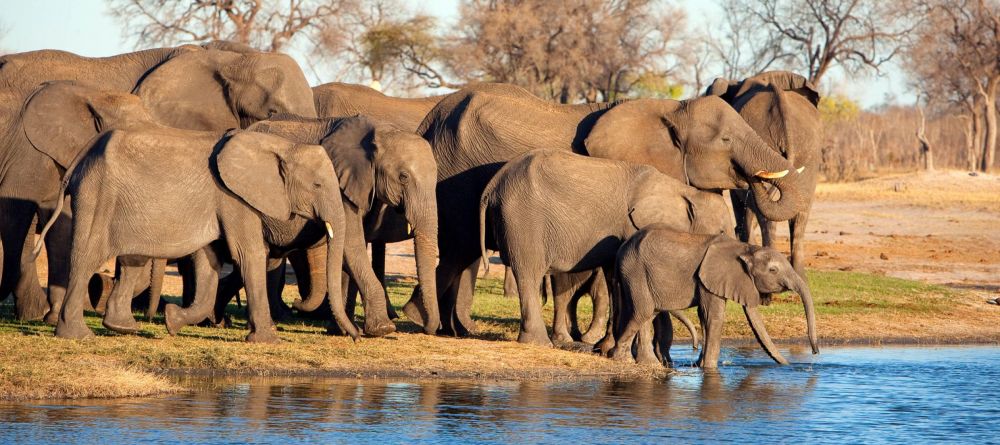 Linkwasha, Hwange National Park, Zimbabwe - Image 20