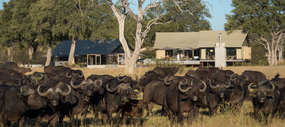 Linkwasha, Hwange National Park, Zimbabwe - Image 1