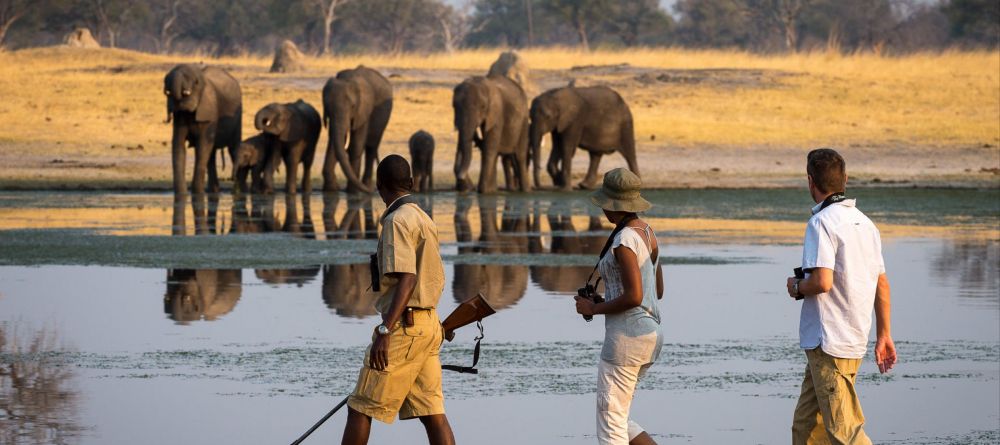 Linkwasha, Hwange National Park, Zimbabwe - Image 26