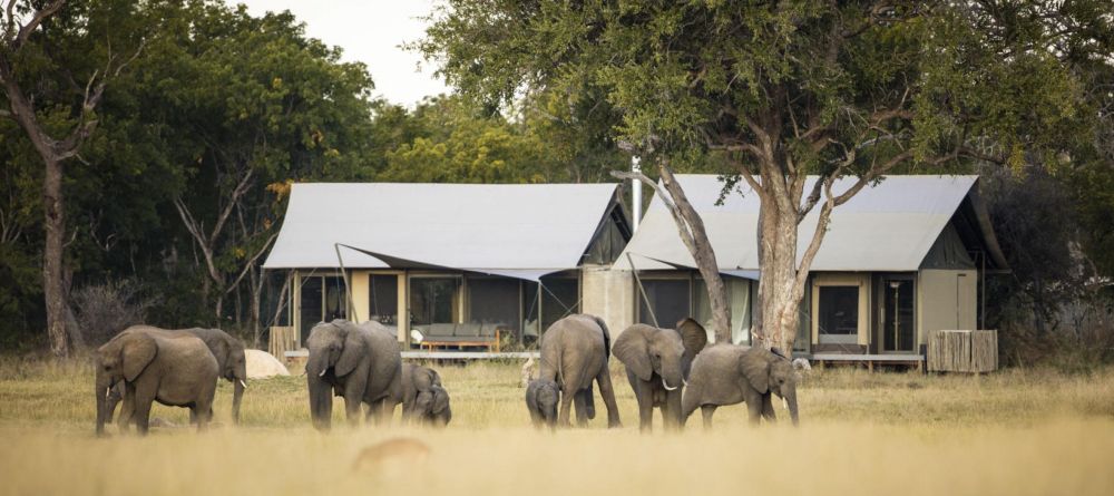 Linkwasha, Hwange National Park, Zimbabwe - Image 15