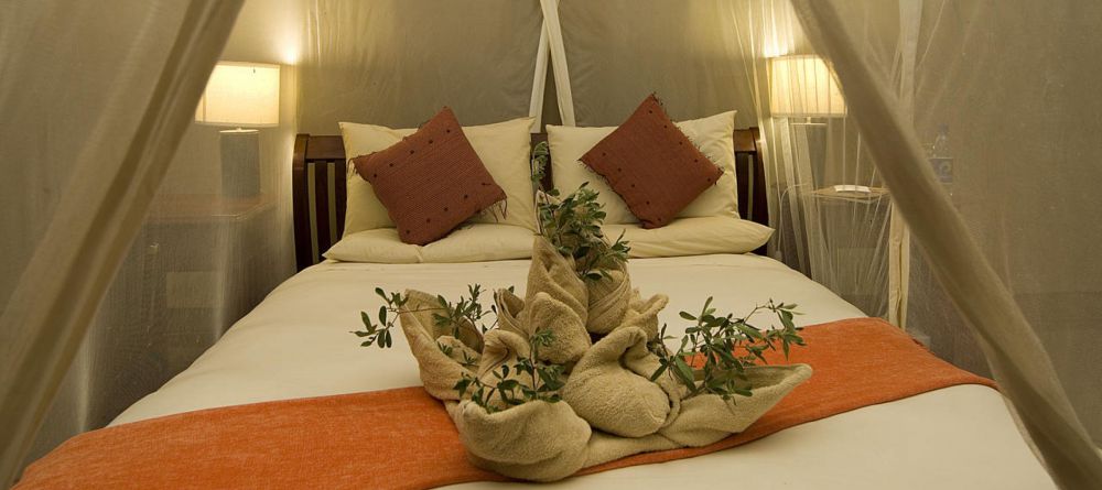 Linyanti Bush Camp - Image 2