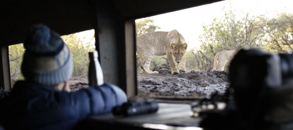 Mashatu Lodge, Mashatu Game Reserve, Botswana - Image 27