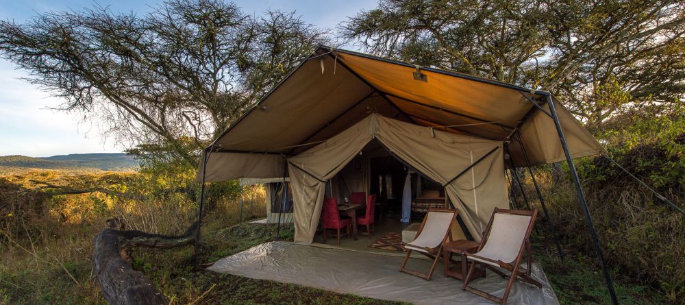 Guest tent at Lions Paw Camp - Image 5