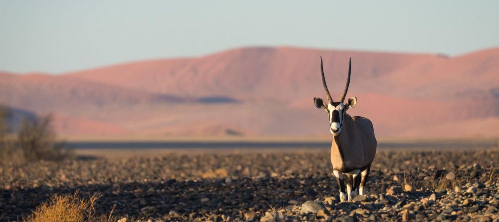 Little Kulala, Sossusvlei, Namibia - Image 13