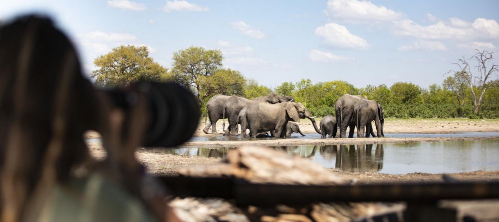 Little Makalolo, Hwange National Park, Zimbabwe - Image 2