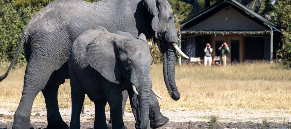 Little Makalolo, Hwange National Park, Zimbabwe - Image 19