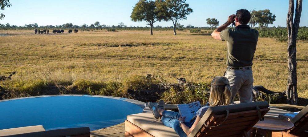 Little Makalolo, Hwange National Park, Zimbabwe - Image 14