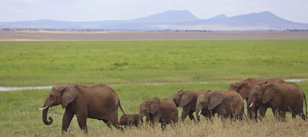 Little Oliver's Camp, Tarangire National Park, Tanzania - Image 3