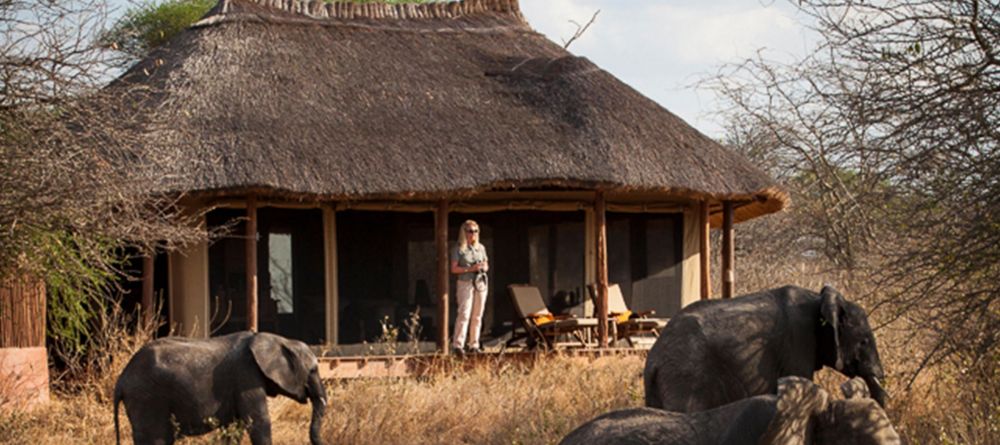 Little Oliver's Camp, Tarangire National Park, Tanzania - Image 10