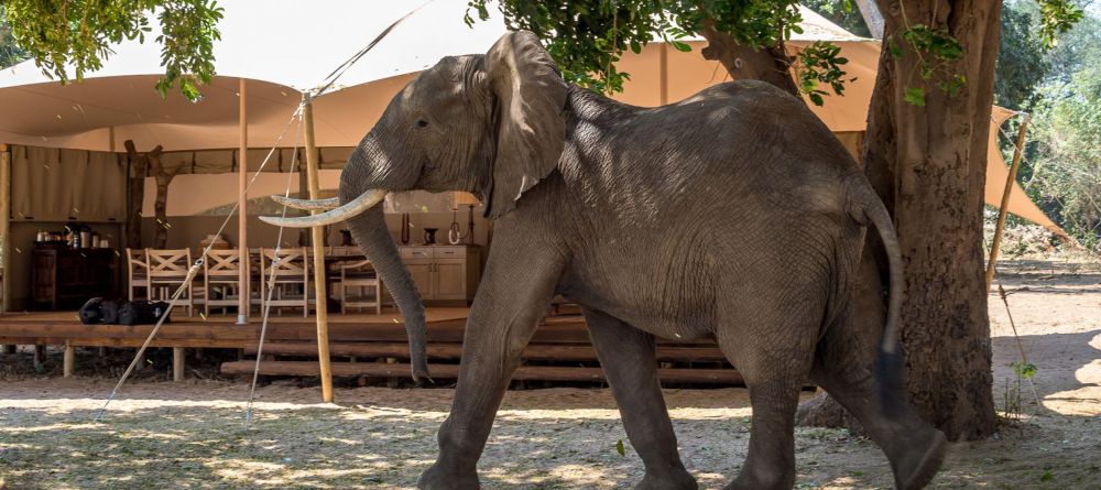 Fish River Lodge - Image 14