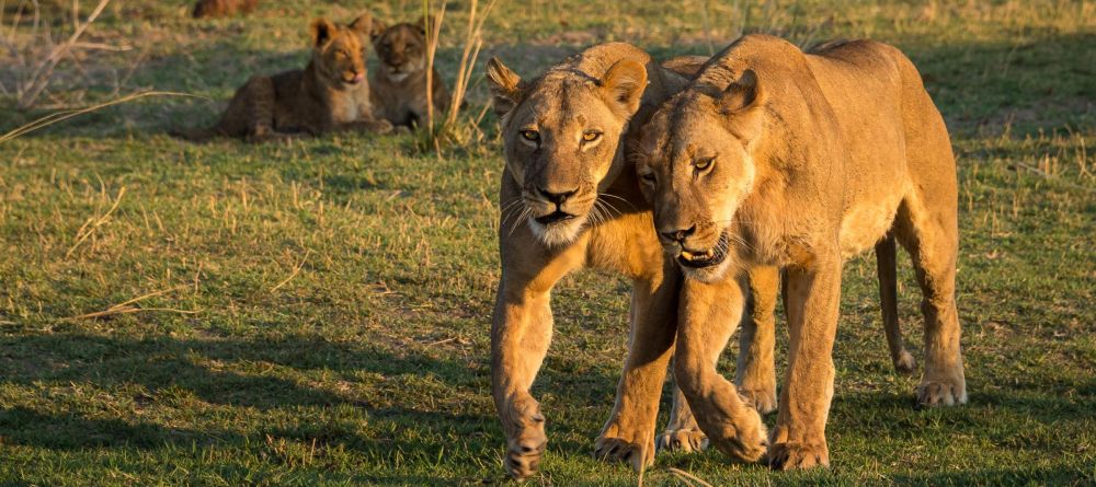 Fish River Lodge - Image 8