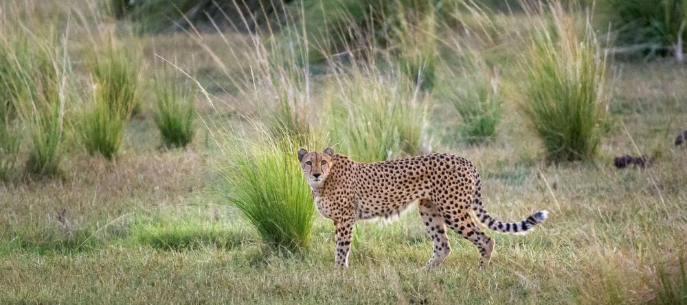 Fish River Lodge - Image 6