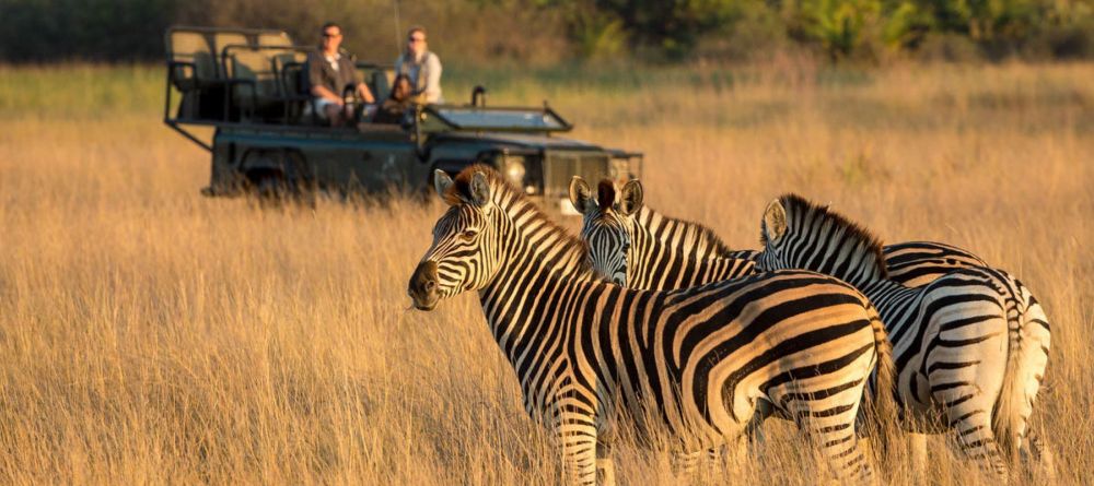 Little Tubu Tree Camp, Okavango Delta, Botswana - Image 2