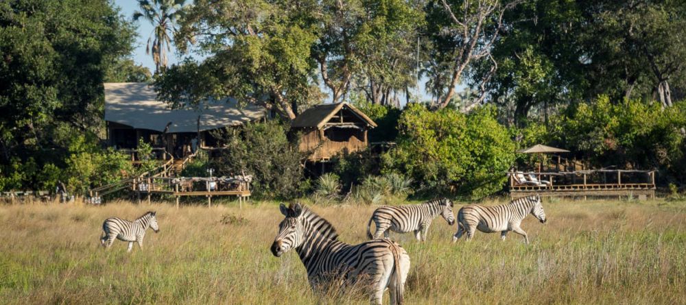 Little Tubu Tree Camp, Okavango Delta, Botswana - Image 8