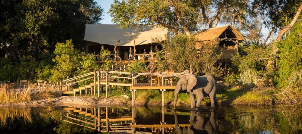 Little Tubu Tree Camp, Okavango Delta, Botswana - Image 8