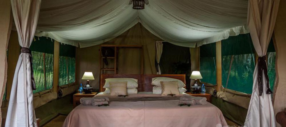 Losokwan Camp, Lemek Conservancy, Kenya - Image 9