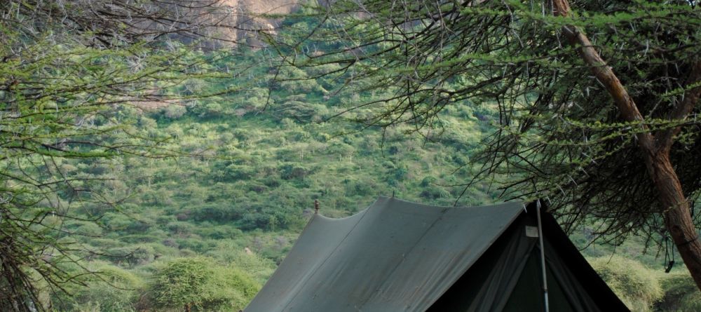 Luxury tents - Image 5