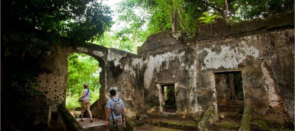Ruins overgrown by the jungle make for a magical setting to hike at Kinasi Lodge, Mafia Island, Tanzania - Image 8