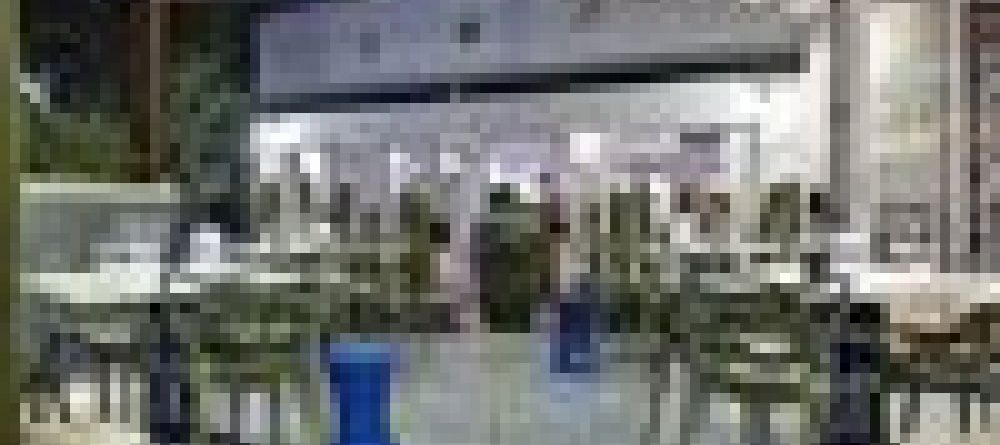 Majeka House Restaurant Patio - Image 1