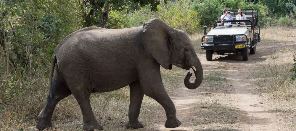 Mkulumadzi Lodge, Majete National Park, Malawi - Image 5