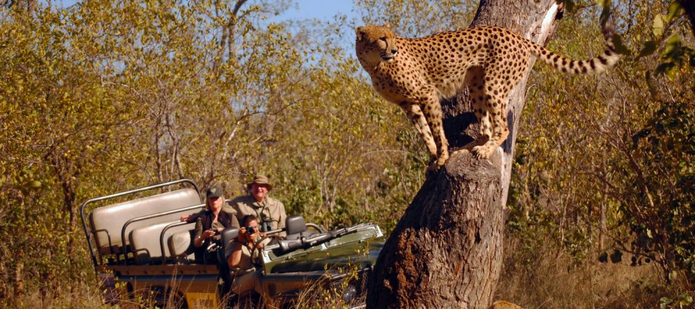 Mala Mala Rattrays Camp, Sabi Sands Game Reserve, South Africa - Image 3