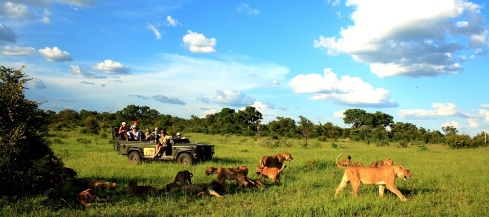 Mala Mala Rattrays Camp, Sabi Sands Game Reserve, South Africa - Image 4