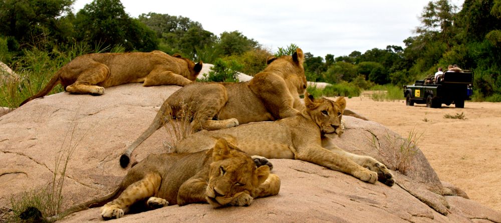 Mala Mala Sable Camp, Sabi Sand Game Reserve, South Africa - Image 12