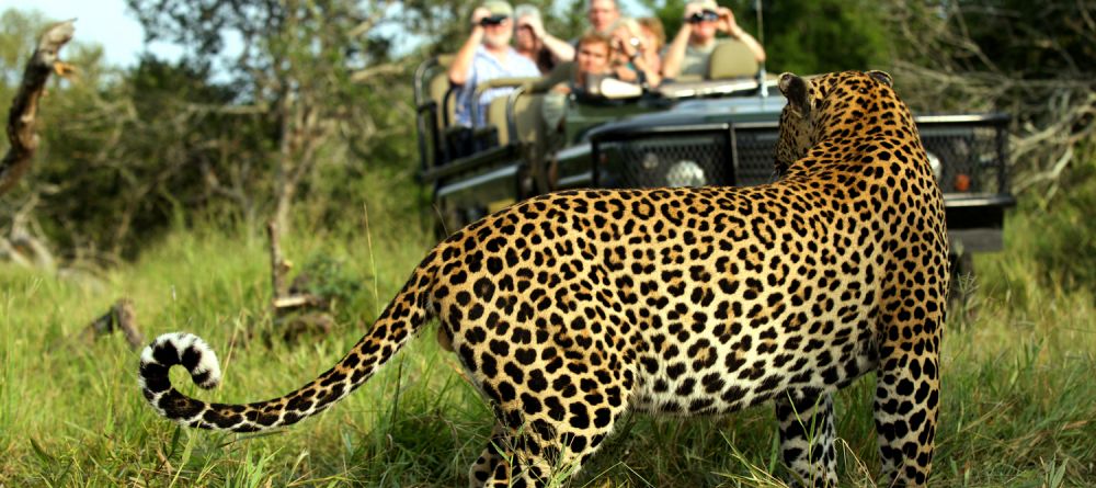 Mala Mala Sable Camp, Sabi Sand Game Reserve, South Africa - Image 7