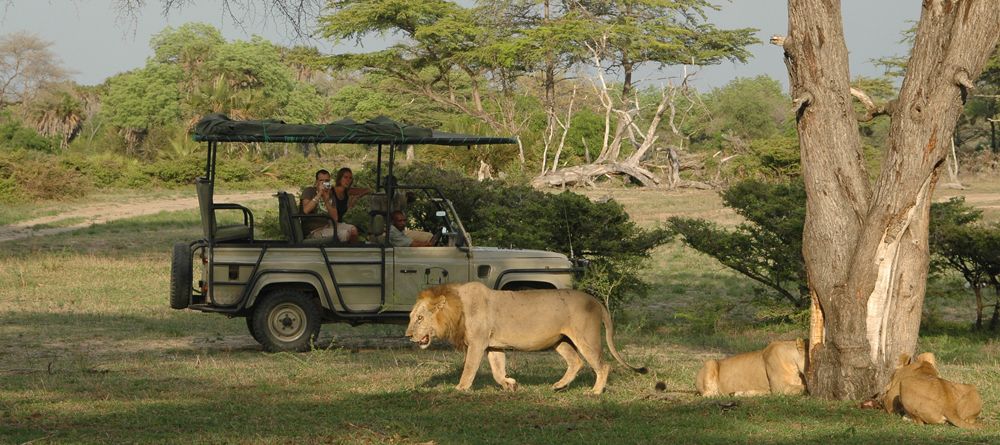 Lions spotted on a game drive at Lake Manze Tented Camp, Selous National Park, Tanzania - Image 6