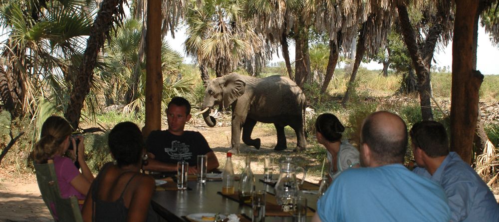 Having lunch with an elephant at Lake Manze Tented Camp, Selous National Park, Tanzania - Image 18