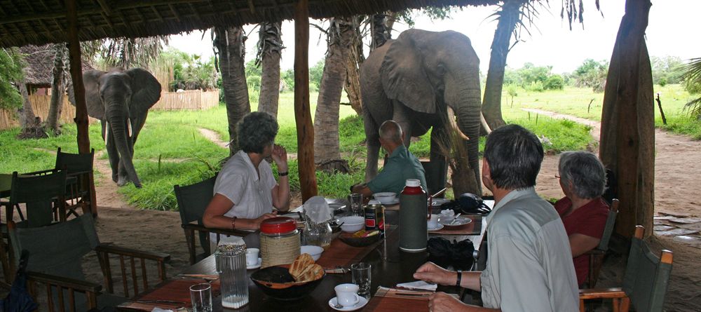 Having lunch with an elephant at Lake Manze Tented Camp, Selous National Park, Tanzania - Image 17