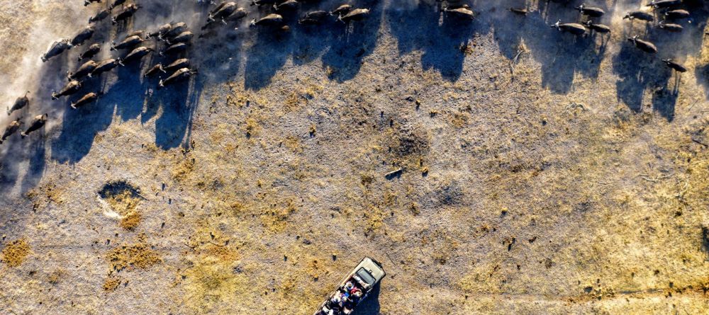 Game drive - Image 9