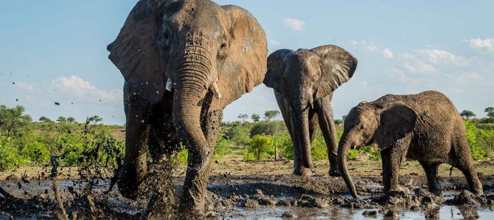 Mashatu Tented Camp - Photo; Trevor Kleyn Trevor Kleyn Photography and Guiding - Image 9
