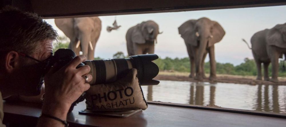 Mashatu Lodge, Mashatu Game Reserve, Botswana - Image 31