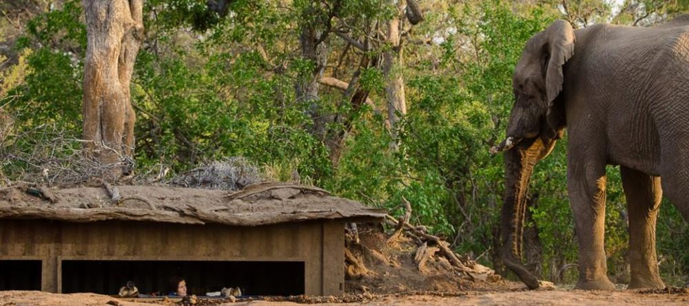 Mashatu Lodge, Mashatu Game Reserve, Botswana - Image 2