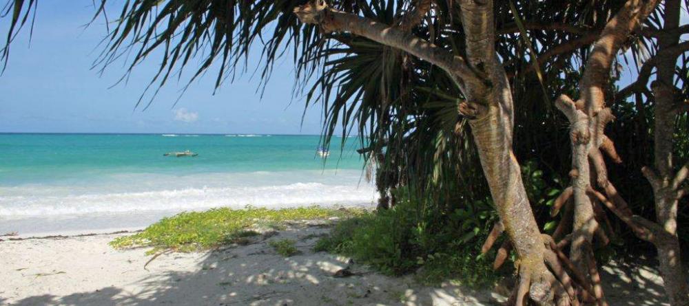 Matemwe Beach Guesthouse, Zanzibar, Tanzania - Image 6