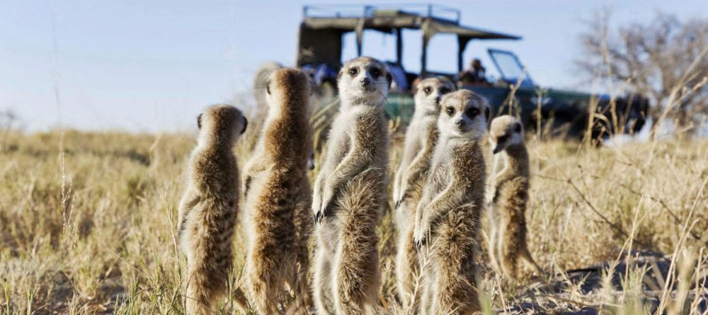 Jacks Camp, Kalahari Desert, Botswana - Image 8