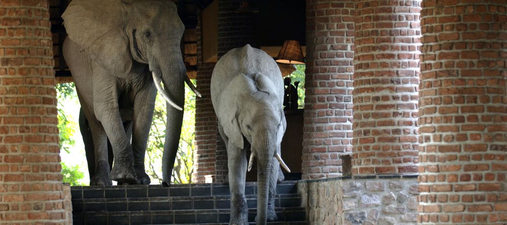 Mfuwe Lodge, South Luangwa National Park, Zambia - Image 3