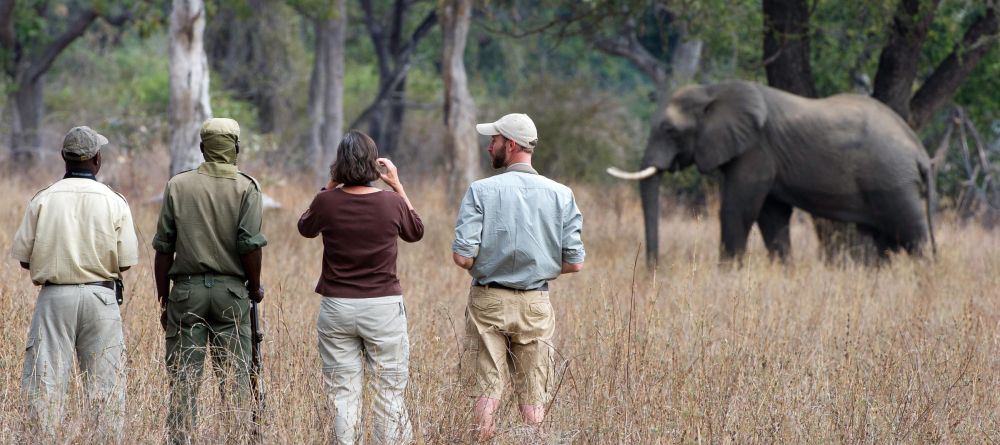 Zungulila Bushcamp, South Luangwa National Park, Zambia - Image 5