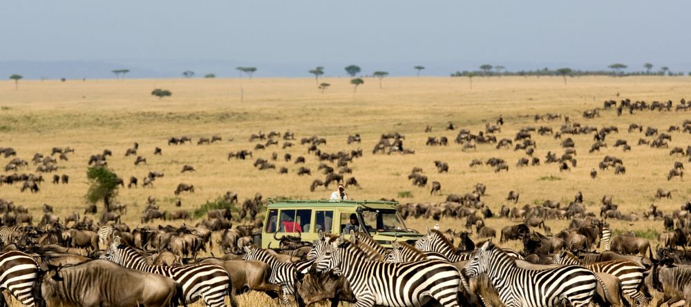 Migration Serengeti Safari - Image 21