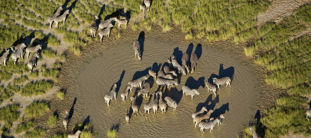Jacks Camp, Kalahari Desert, Botswana - Image 16