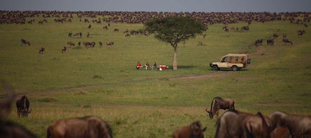 A bush breakfast among the masses of wildebeest during the Great Migration at Naibor Camp, Masai Mara National Reserve, Kenya - Image 1