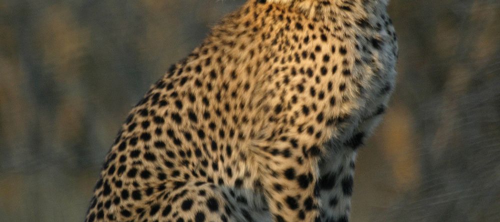 Mkuze Falls Lodge Cheetah Image #2 - Image 2