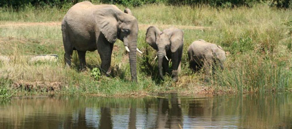 Murchison Falls Lodge - Image 5