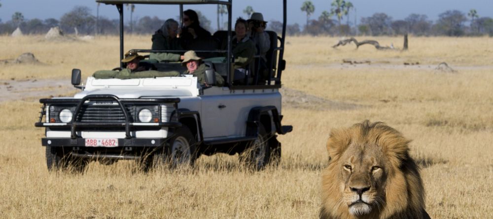 Game drive at Davisons Camp, Huangwe National Park, Zimbabwe (Mike Myers) - Image 11