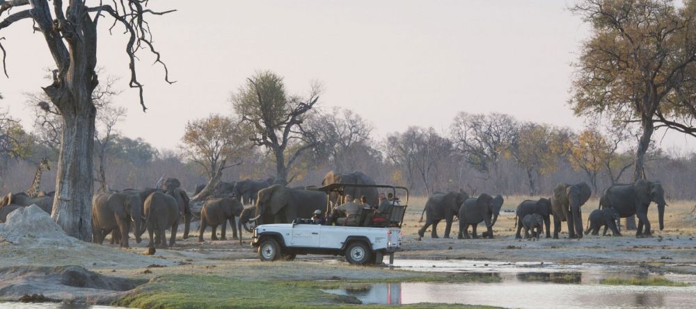 Game drive at Davisons Camp, Huangwe National Park, Zimbabwe (Mike Myers) - Image 5